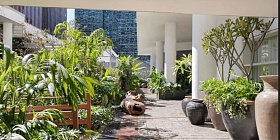 A paisagista Mônica Costa é comprometida em transformar espaços urbanos em ambientes mais verdes, saudáveis e acolhedores, contribuindo para um futuro mais sustentável e consciente. Logo na entrada da mostra, agraciada pelo espaço aberto, ela realizou um jardim que homenageia e traz a luz a região do Xingu | Foto: Denilson Machado |MCA Estudio