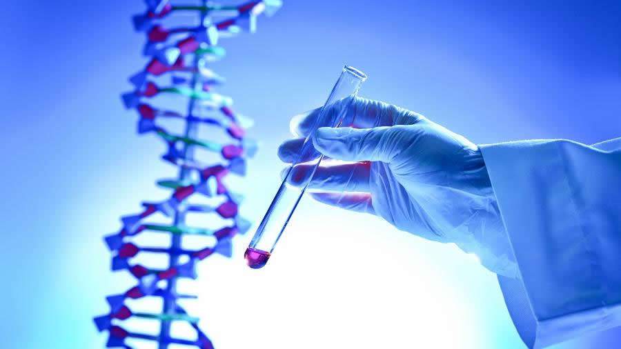 A medicina está atingindo novos patamares de eficácia com os avanços dos Testes Genéticos