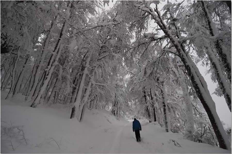 Bariloche dá as boas-vindas ao inverno com neve nas montanhas e apresenta site renovado