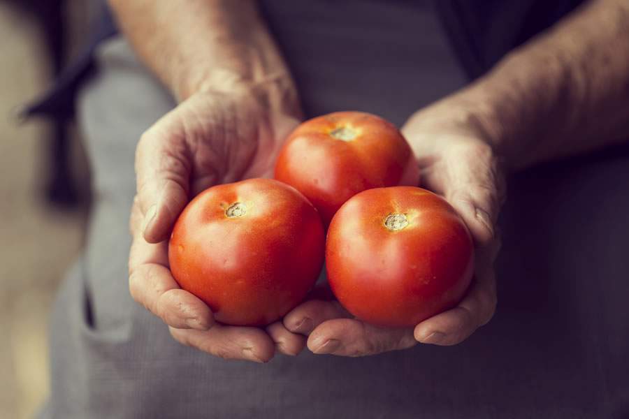 Alerta na Mesa: preço do tomate dispara em 2023 e outros itens essenciais também preocupam consumidores