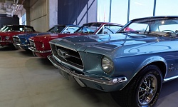 Ala dos Mustangs - Dream Car Museum - Foto Carolina Loppo (Divulgação)