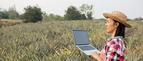  Para quem busca recolocação ou novos desafios, o momento é estratégico: há oportunidades tanto em funções tradicionais do agro quanto em posições voltadas à inovação digital. - Foto: Freepik