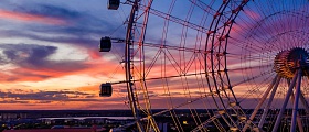 OrlandoEye_IconPark