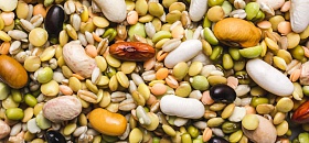 Crédito: Divulgação