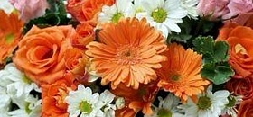      Uma imensa diversidade de flores deve atender todos os gostos e bolsos - Divulgação
