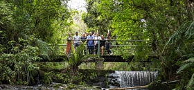 Trilhas ecológicas e contato direto com a natureza no Destino Miringuava_divulgacao