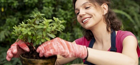 Foto ilustrativa/Freepik