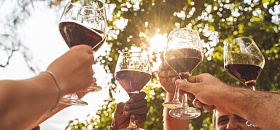  Tempranillo_divulgação