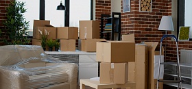     Crédito da imagem: Freepik