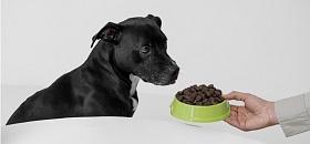 Crédito: Divulgação