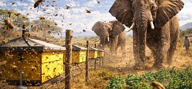 Crédito: Divulgação