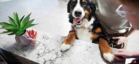 Crédito: Divulgação