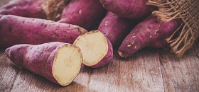 Crédito: Divulgação