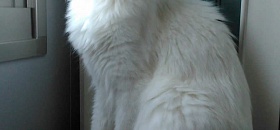 Divulgação / Juliana Sato