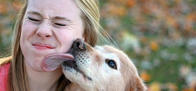 Crédito: Divulgação