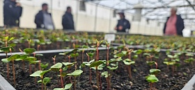       Divulgação - Epson