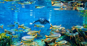 Foto por divulgação Nascente Azul