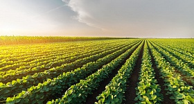 Crédito: Divulgação