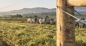 Crédito: Divulgação