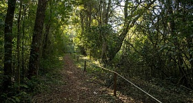  Créditos: divulgação Urbia+Cataratas