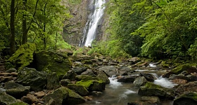  Cachoeira Salto Morato, com mais de 100 metros de queda, é opção em Guaraqueçaba (PR), na Grande Reserva Mata Atlântica | Foto: José Paiva/Fundação Grupo Boticário