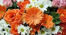      Uma imensa diversidade de flores deve atender todos os gostos e bolsos - Divulgação