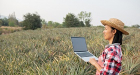  Para quem busca recolocação ou novos desafios, o momento é estratégico: há oportunidades tanto em funções tradicionais do agro quanto em posições voltadas à inovação digital. - Foto: Freepik