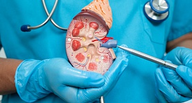  A alta demanda tem relação direta com a incidência crescente de doenças crônicas, especialmente a hipertensão arterial e o diabetes, que podem levar à perda progressiva da função renal - Crédito: Envato