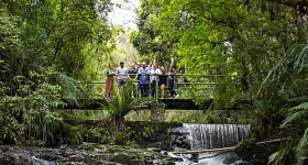 Trilhas ecológicas e contato direto com a natureza no Destino Miringuava_divulgacao