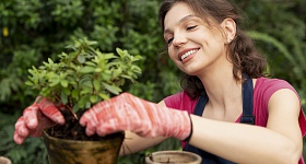 Foto ilustrativa/Freepik