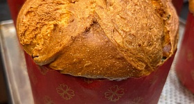 Crédito: Divulgação 