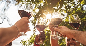  Tempranillo_divulgação