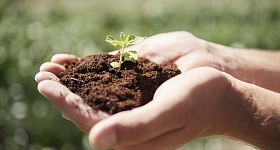 Reprodução/Freepik