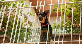 Crédito: Divulgação 