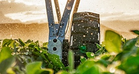 Crédito: Divulgação