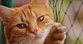 foto ilustrativa de banco de imagens