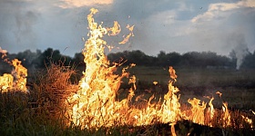  Dois trabalhadores morreram ao combater incêndio florestal em propriedade da empresa - Foto: Freepik