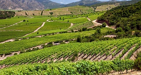 Vale Central, Chile [Créditos:Shutter]