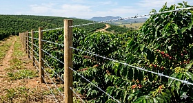 Crédito: Divulgação