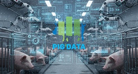     De Heus investe em tecnologia para proporcionar ganhos de produtividade e previsibilidade à suinocultura brasileira - Divulgação - De Heus