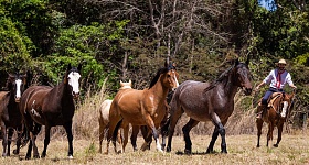 Wenderson Araújo/Confederação da Agricultura e Pecuária do Brasil (CNA)