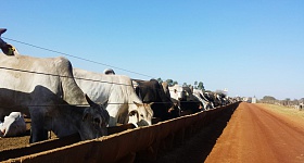 Crédito: Divulgação