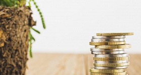     Reprodução: Freepik