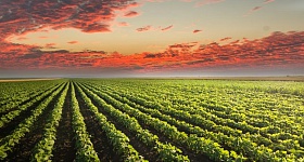 Crédito: Divulgação