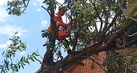 Diante de situações emergenciais no lar, serviços de reparação tornam-se essenciais. - Divulgação | Europ Assistance