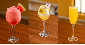  Mocktails - Salton/Divulgação