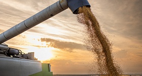  Crédito: Shutterstock