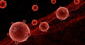 Foto: Reprodução / Freepik