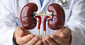  Segundo Ministério da Saúde, cerca de 10% da população brasileira tem diagnóstico de doença renal - Divulgação