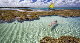   Salvador e Porto de Galinhas - (Crédito: divulgação)